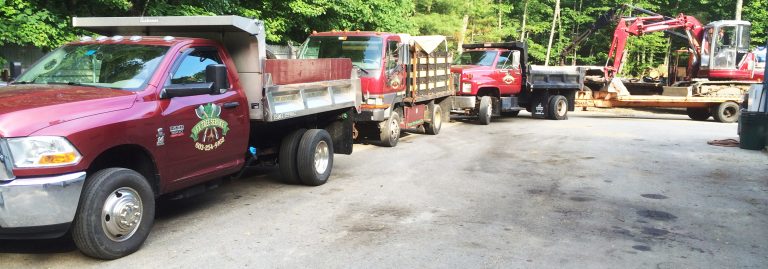 Removal guide, tree NH cost Rochester
